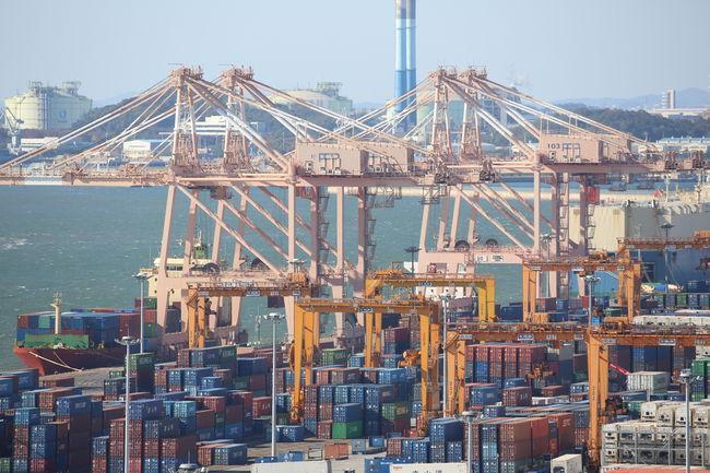 11월 수출 610억 달러… 6개월 연속 월간 최대 기록 경신